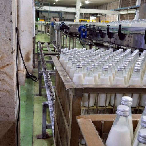 งานติดตั้ง สายพานลำเลียงขวด อัตโนมัติ,Installation of automated bottle conveyor belts,
                                        Site : ROYAL PLUS COMPANY LIMITED, Rayong